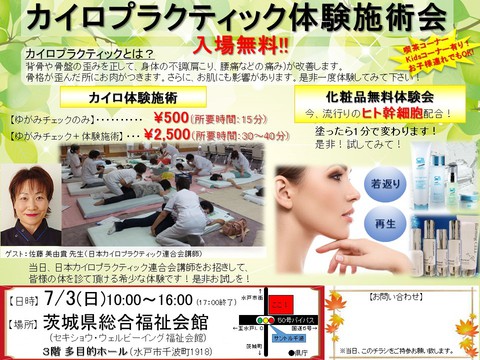 創術 2015年 カイロプラクティックセミナーテキスト！貴重！整体！カイロ！鍼灸 51OE18ODdwL._AC_UF350,